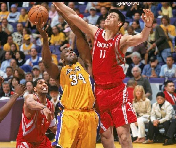 nba姚明学校；nba姚明学校官网