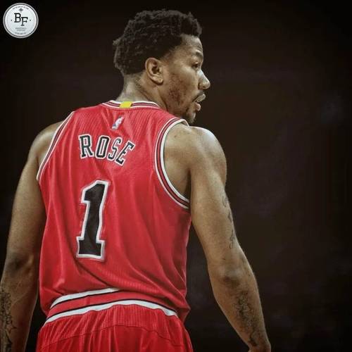 公牛队罗斯；公牛队罗斯的简介